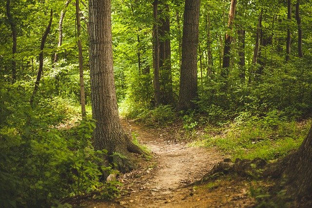 ATTI DI GARA PROCEDURA AFFIDAMENTO CONCESSIONE PARCO GESSA