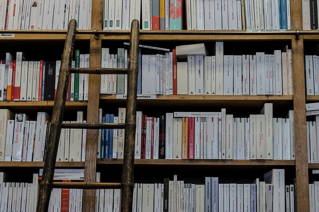 GARA L'AFFIDAMENTO DEL SERVIZIO DI GESTIONE DELLA BIBLIOTECA COMUNALE