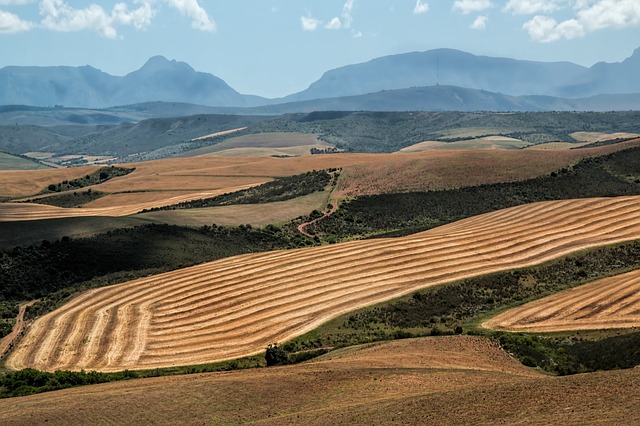 Avviso esito gara aggiudicata-AFFIDAMENTO CONCESSIONE TERRENI AGRICOLI COMUNALI USO PASCOLATIVO