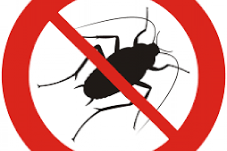 INTERVENTI DI DISINFESTAZIONE PER PRESENZA BLATTE PRESSO DIVERSE SEDI VIARIE