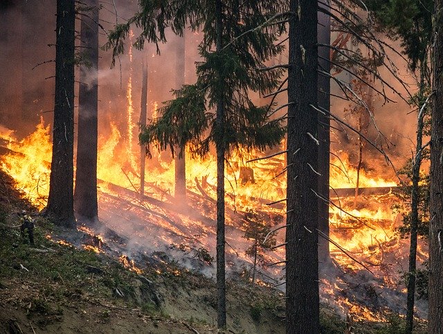 PREVISIONE PERICOLO INCENDIO  'ESTREMO' (CODICE ROSSO) PER  LUNEDI' 07 AGOSTO 2023