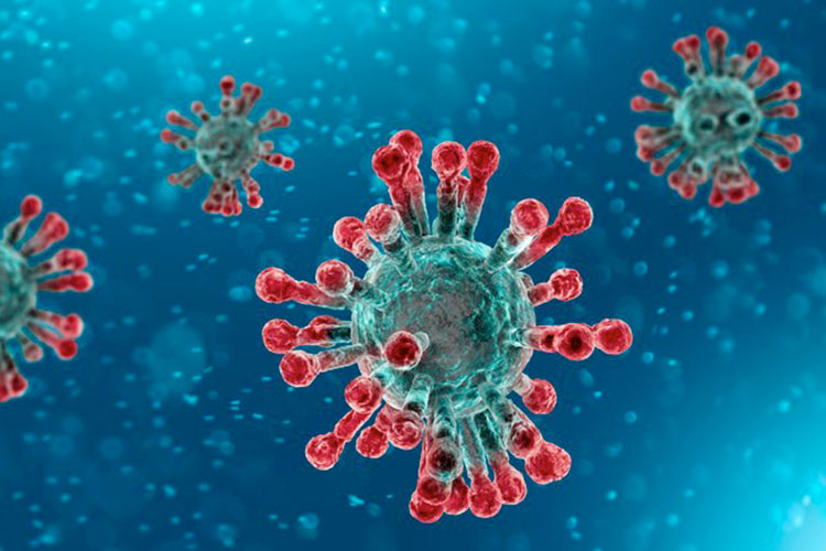 Virus Sars Covid -2 Scuola Infanzia Via Garibaldi Maracalagonis