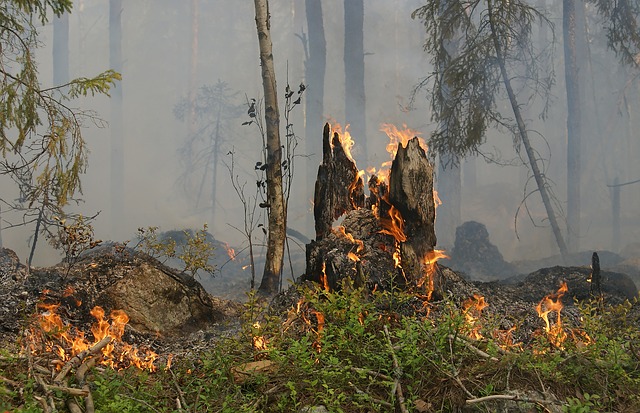 AVVISO DI ALLERTA PER PREVISIONE INCENDI PER LA GIORNATA DEL 06-09-2018 - ATTENZIONE RINFORZATA