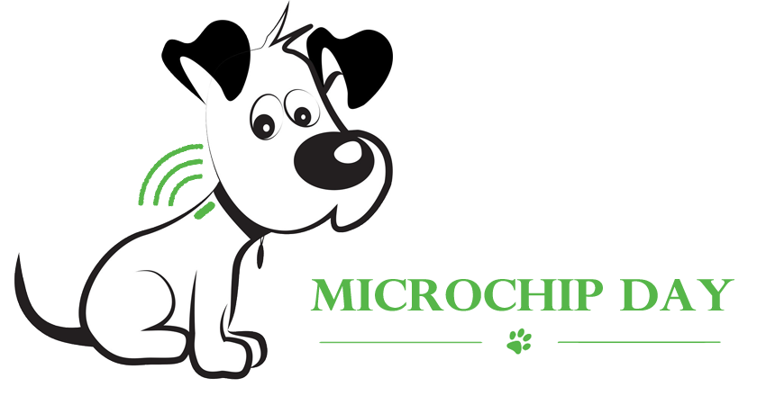 Microchip day - 16 Dicembre 2025