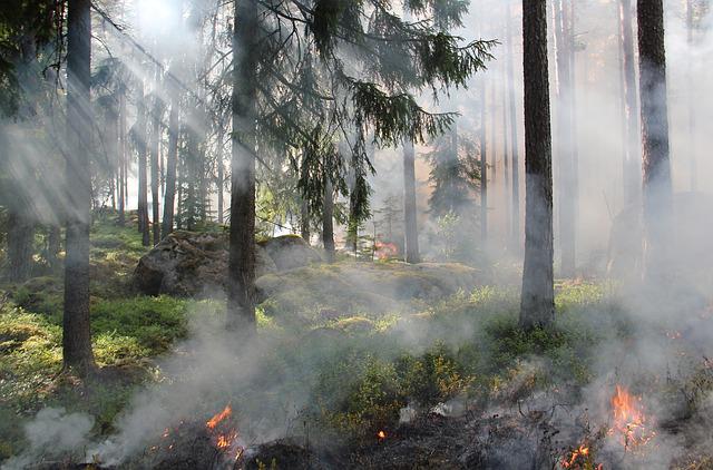 PREVISIONE PERICOLO INCENDIO  'ALTO' PER  SABATO 05 AGOSTO 2023